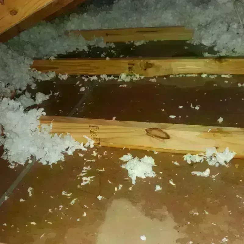 Attic Water Damage in Charlotte, VT